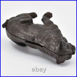 Antique 1889 Kyser Rex Seated Pug Cast Iron Still Bank Moore #405