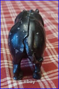 Antique Black Cast Iron Arcade Rhino Still Penny Bank