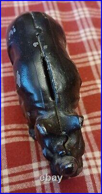 Antique Black Cast Iron Arcade Rhino Still Penny Bank