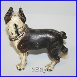 Antique Cast Iron Boston Terrier dog Still Coin Bank Vindex