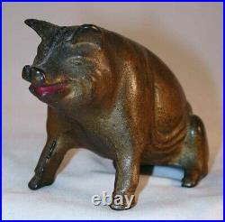Antique Gold Colored Cast Iron Still Penny Bank AC Williams Seated Pig or Hog