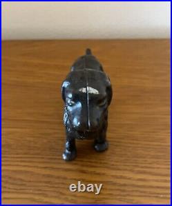 Antique cast iron arcade Newfoundland dog bank