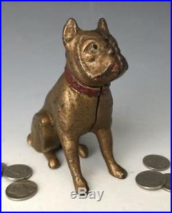 C. 1920 AC Williams or Hubley Cast Iron Boxer Bulldog Still Penny Dog Bank #357