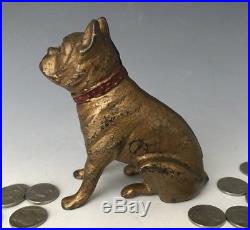 C. 1920 AC Williams or Hubley Cast Iron Boxer Bulldog Still Penny Dog Bank #357