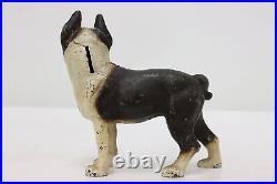 Cast Iron Antique Boston Terrier Dog Sculpture Coin Bank #50526