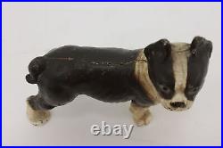 Cast Iron Antique Boston Terrier Dog Sculpture Coin Bank #50526