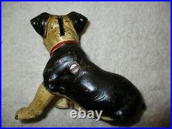 Cast Iron Dog Bank Vintage Boston Terrier