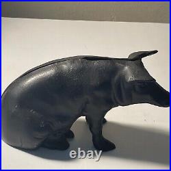 Cast Iron Metal Piggy Bank Boar Bank (heavy)