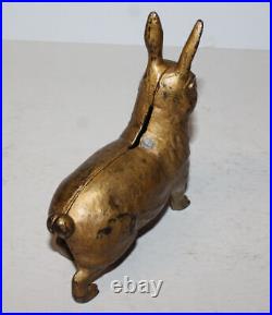 Cast Iron Standing Rabbit Larger Size Still Coin Penny Bank A. C. Williams Cast Iron Standing Rabbit Larger Size Still Coin Penny Bank A. C. Williams