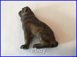 Cast Iron Still Bank Pug St Bernard Dog Sitting With 1929 Quarter & Wheat Pennies