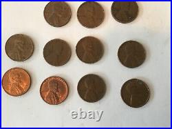 Cast Iron Still Bank Pug St Bernard Dog Sitting With 1929 Quarter & Wheat Pennies