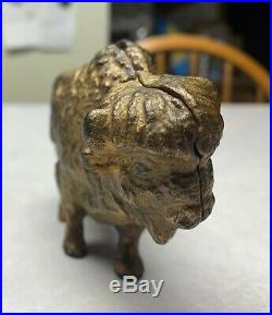 Hairy Buffalo Very Rare Antique Cast Iron Still Bank