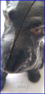 Hubley Scottie Dog Cast Iron Sitting Dog Bank. Good Condition