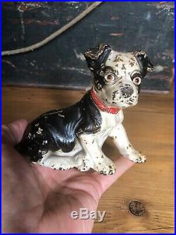 Original Antique Cast Iron Hubley Sitting Boston Terrier Puppy Dog Still Bank