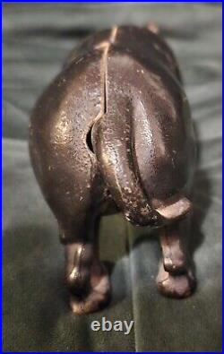 Original Antique Vtg 1910 -1925 Arcade Black Cast Iron Rhino Still Penny Bank