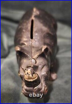 Original Antique Vtg 1910 -1925 Arcade Black Cast Iron Rhino Still Penny Bank