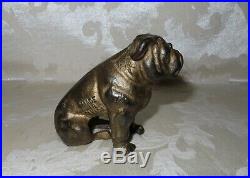 RARE Antique Cast Iron Canadian Still Bank, English Bulldog with Gold Gilt