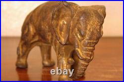 Sweet Vintage Cast Iron A. C. Williams Co. Elephant Coin or Penny Bank Gold Wash Sweet Vintage Cast Iron A. C. Williams Co. Elephant Coin or Penny Bank Gold Wash