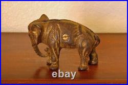 Sweet Vintage Cast Iron A. C. Williams Co. Elephant Coin or Penny Bank Gold Wash Sweet Vintage Cast Iron A. C. Williams Co. Elephant Coin or Penny Bank Gold Wash