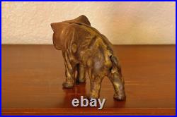 Sweet Vintage Cast Iron A. C. Williams Co. Elephant Coin or Penny Bank Gold Wash Sweet Vintage Cast Iron A. C. Williams Co. Elephant Coin or Penny Bank Gold Wash