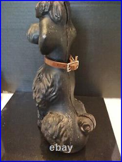 Vintage 1950 CAST IRON POODLE Dog COIN BANK Doorstop. 11Inches. Beautiful