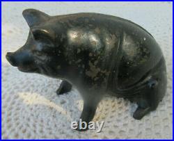 Vintage Antique Cast Iron Pig Piggy Bank Original Paint