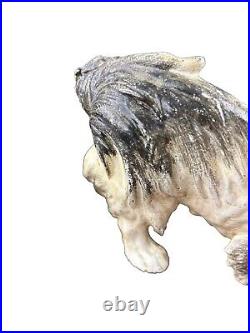 Vintage Cast Iron Bank Figurine Dog Pekingese