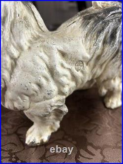 Vintage Cast Iron Bank Figurine Dog Pekingese