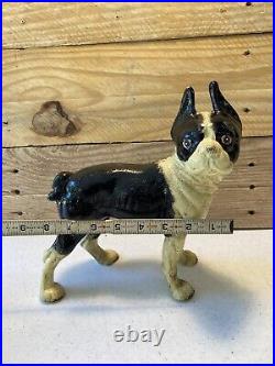 Vintage Cast Iron Boston Terrier Coin Bank/door Stop
