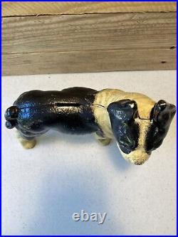 Vintage Cast Iron Boston Terrier Coin Bank/door Stop